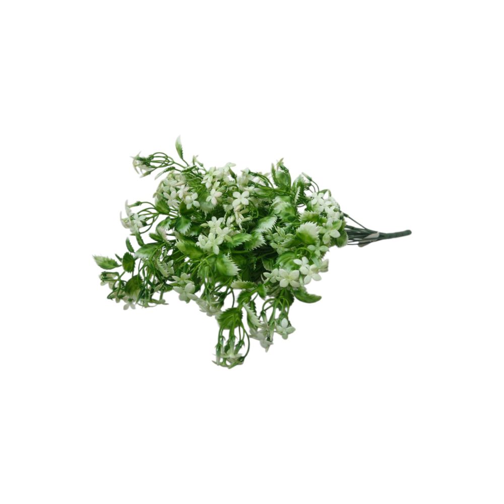 GREEN BUNCH SF 04